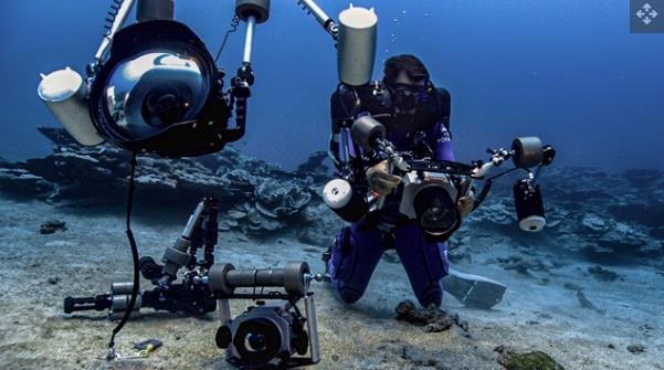 潜水和相机技术的进步使研究人员更容易接触到中光珊瑚礁.jpg