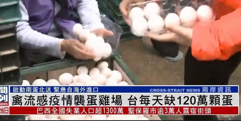 台湾每天缺120万颗鸡蛋，台湾缺鸡蛋的具体情况如何？