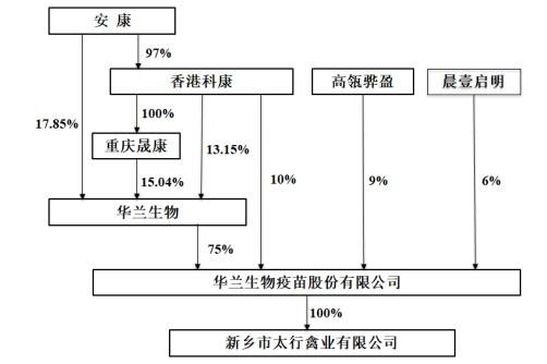 公司股权结构.jpg