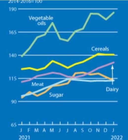 世界粮食价格.jpg