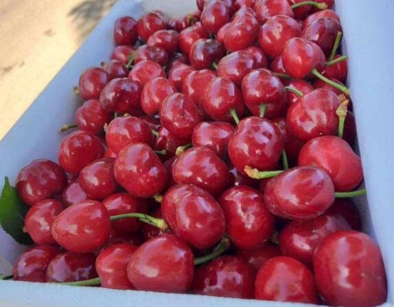 車?yán)遄觾r格.jpg 車?yán)遄觾r格.jpg