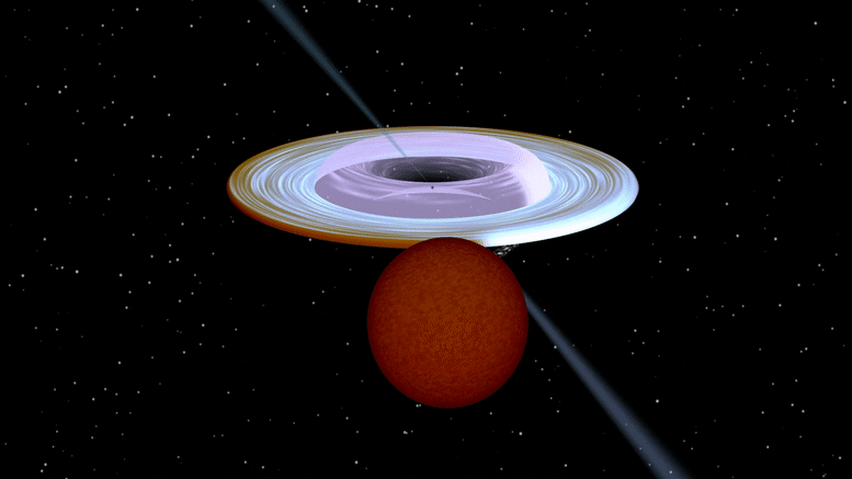 新发现 双星系统中黑洞的旋转轴相对于恒星轨道的轴倾斜超过40度.gif