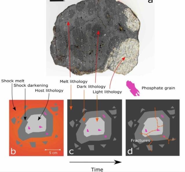手样品中车里雅宾斯克陨石的结构（a），以及解释的形成历史，通过（b）冲击熔化，（c），凝固，和（d）后期压裂.jpg