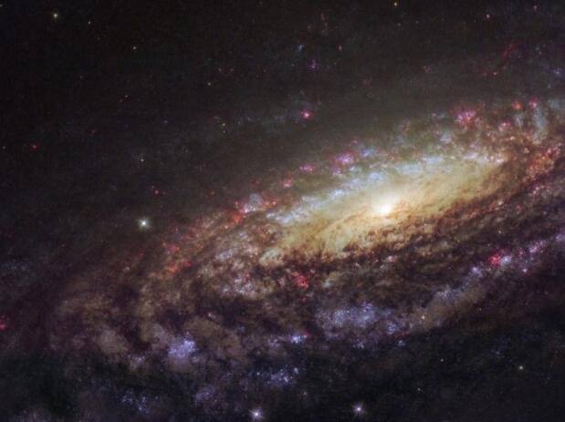 这张 NASA ESA 哈勃太空望远镜图像显示了一个名为 NGC 7331 的螺旋星系。NGC 7331 于 1784 年由多产的星系猎人威廉赫歇尔首次发现，位于飞马座（飞马座）中，距离地球约 4500 万光年。 . 银河系部分面向我们，展示了它美丽的手臂，像漩涡一样围绕着它明亮的中心区域旋转。.jpg
