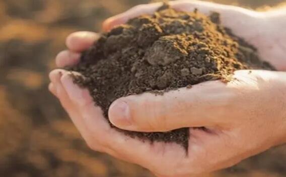 稀土.jpg 稀土.jpg