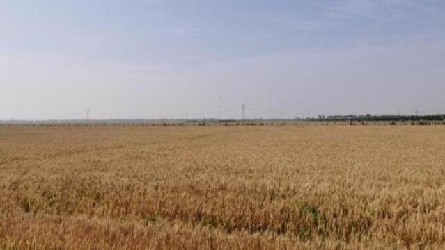 糧食的重要性.jpg 糧食的重要性.jpg