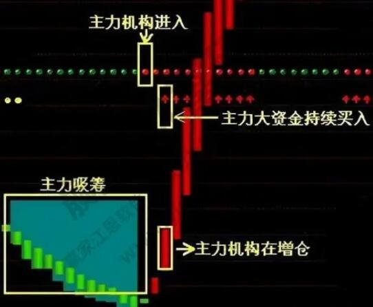 主力資金流向查詢.jpg