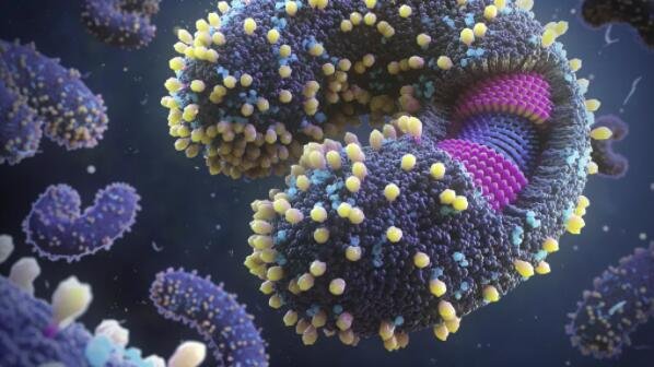 在海洋中发现了5000多种新病毒 病毒多样性是如此之大.jpg