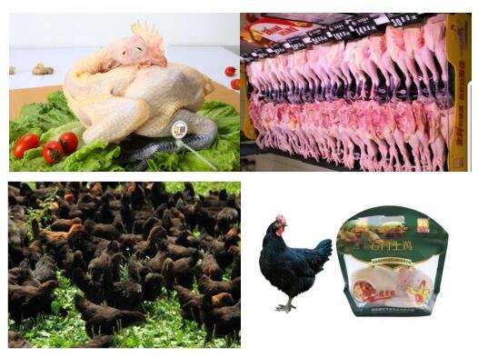 主要產(chǎn)品.jpg 主要產(chǎn)品.jpg