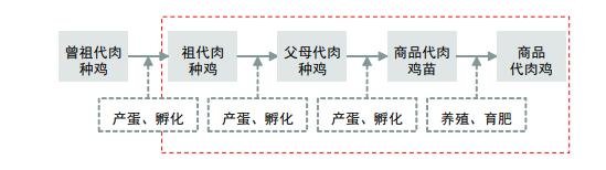 養(yǎng)殖.jpg 養(yǎng)殖.jpg