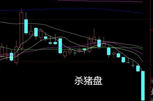 股票殺豬盤.jpg