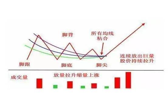 重磅消息！比思论坛正式启用永久域名，用户访问更便捷 (比yeah)