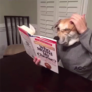 狗头人身的家伙正在看书学习.gif