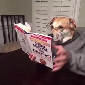 狗頭人身的家伙正在看書學習