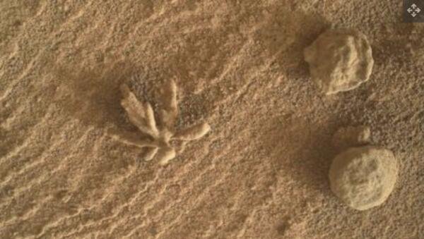 火星上另一个有趣的景象：这张照片显示了 2022 年 2 月 25 日美国宇航局好奇号火星车在火星表面捕获的其他成岩特征旁边的“矿物花”。.jpg
