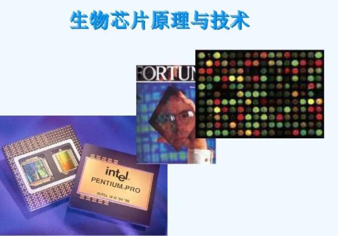 生物芯片原理與技術(shù).jpg