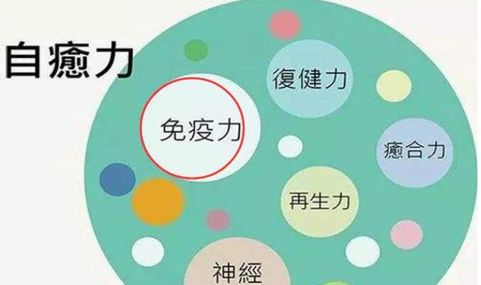 免疫力.jpg 免疫力.jpg