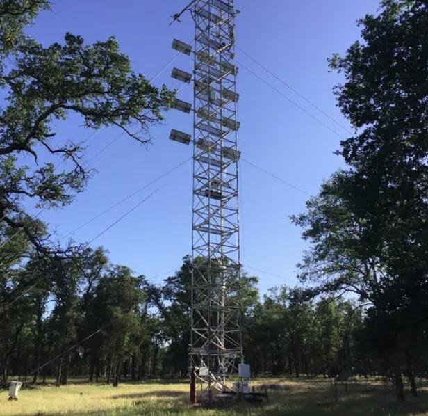 研究地点之一的通量塔（加利福尼亚中部的蓝橡树稀树草原）.jpg