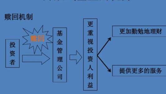 什么是开发式基金？开发式基金的投资优势体现在哪些方面？