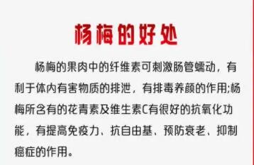 楊梅的好處.jpg
