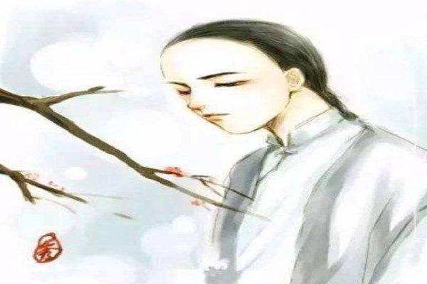 纳兰性德简介，纳兰性德真的无意仕途吗？纳兰的感情世界