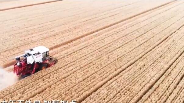 糧食.jpg 糧食.jpg