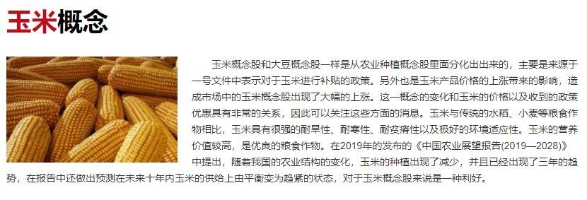 玉米概念.jpg 玉米概念.jpg