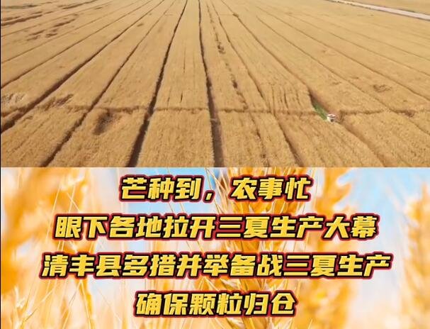 確保顆粒歸倉.jpg 確保顆粒歸倉.jpg