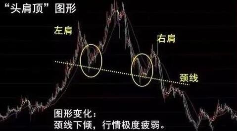 常見形態(tài).jpg 常見形態(tài).jpg