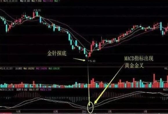 金針探底.jpg 金針探底.jpg