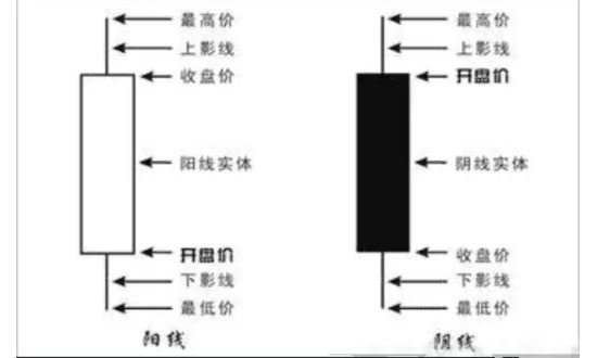 阴线阳线.jpg