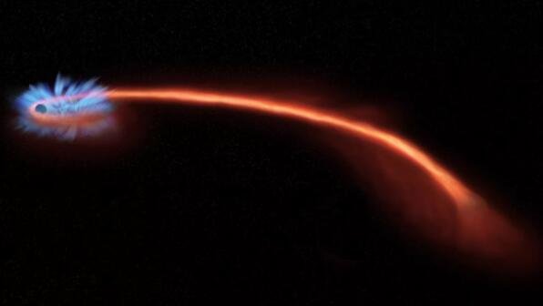 宇宙犯罪现场揭示 黑洞如何将恒星变成“意大利面条”形状.jpg