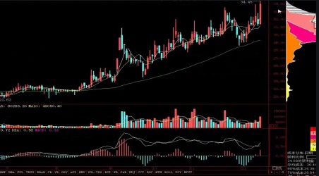 短線追漲停技巧
