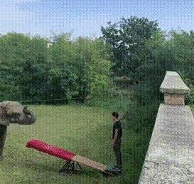 大象跷跷板