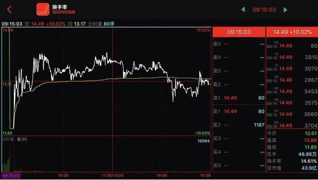9點15分顯示漲停 9點15分顯示漲停