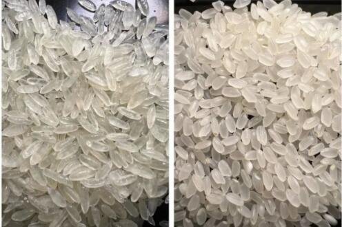 自热米饭用的不是大米而是人造米 放大10000倍后看区别
