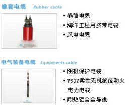 600110中科英華電纜產品2