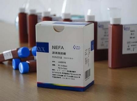 300406九强生物游离脂肪酸（NEFA）