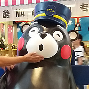 择机出手的投机者